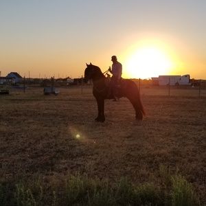 Meet your Posher, Meme